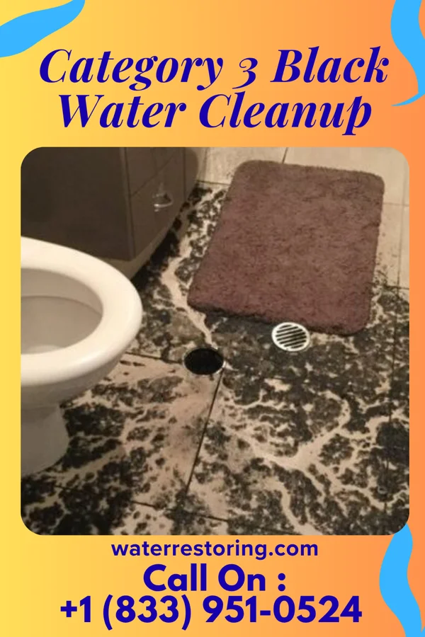 Category 3 Black Water Cleanup in Daggett, MI