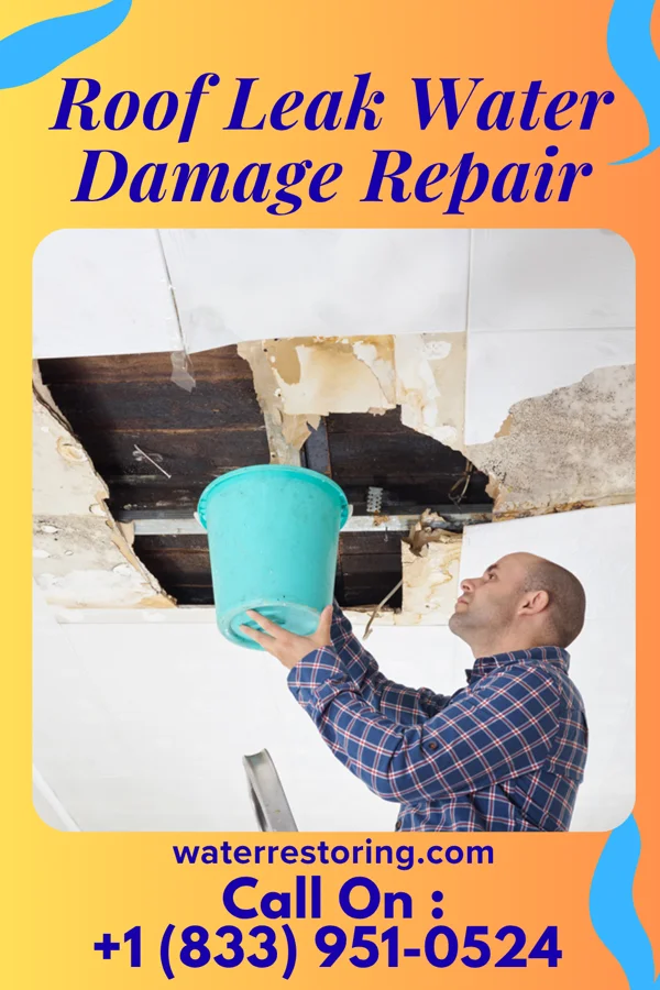 Roof Leak Water Damage Repair in Daggett, MI